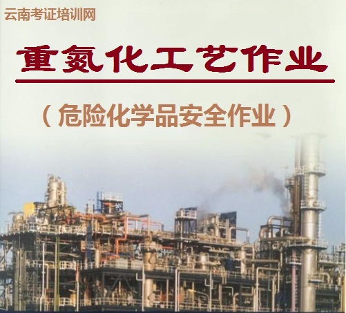 重氮化工艺作业.jpg