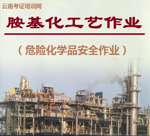 胺基化工艺作业.jpg