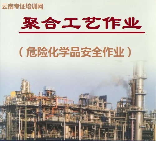 聚合工艺作业.jpg